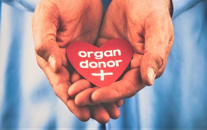Delhi NCR students create organ donation awareness through posters